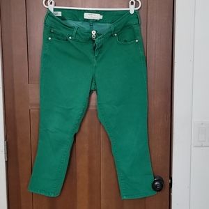 Green Torrid Capri Jeggings